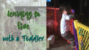 Learning to Live with a Toddler