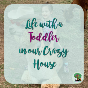 Life with a Toddler in our Crazy House