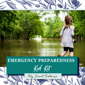 emergency kit for kids, kids emergency kit, emergency kit