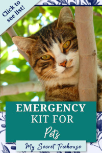 emergency pet kit pin, emergency kit for pets, emergency pet kit, pet emergency kit